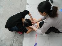 cdc298781eed0e8d391030452c3427e6.jpg